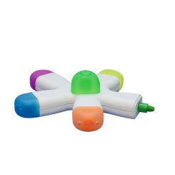 Alternative view of Coral Highlighter (HL03)